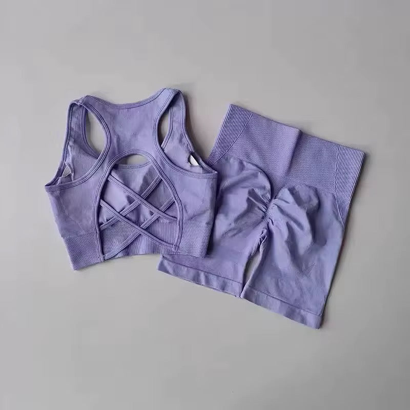 Purple sports bra and shorts set 